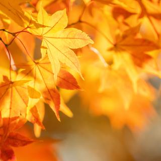 Sprzątanie Świata - 2025